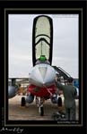 Mottys-ROKAF-F-16D-Details-01_2007_10_07_2229-LR