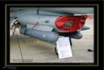 Mottys-ROKAF-F-16D-Details-28_2007_10_06_42-LR