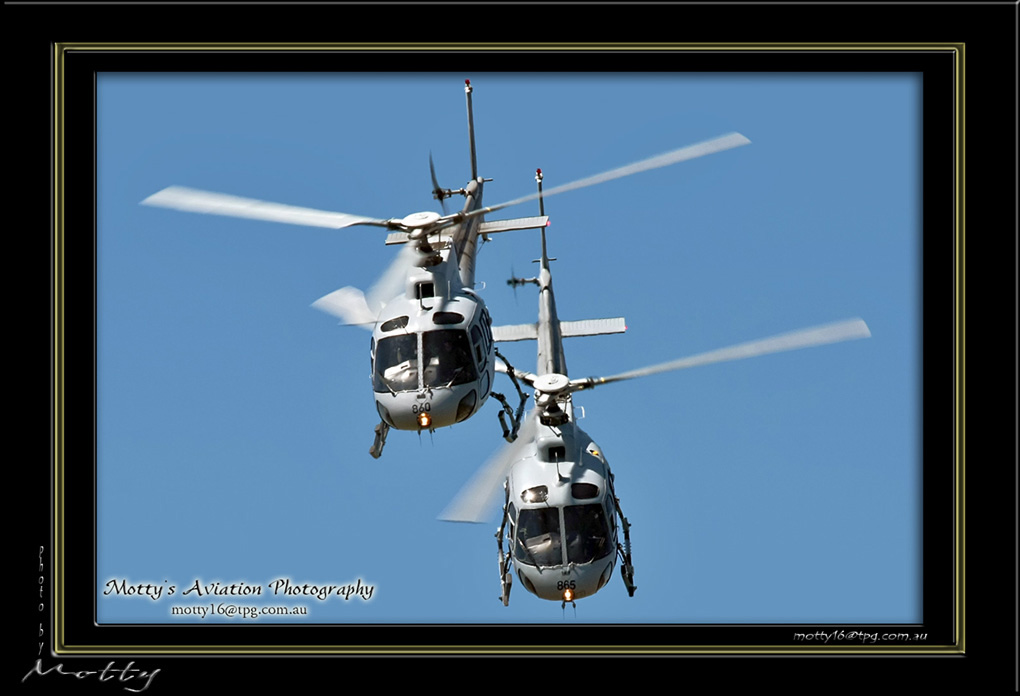 Mottys-Squirrel-Pair_2008_10_04_9419-LR-1-001