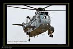 Mottys-Seaking-N16-114-2008_10_26_1718-LR-1-001