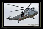 Mottys-Seaking-N16-114-2008_10_26_1746-LR-001